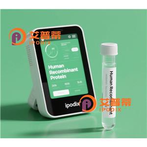 Cystatin C抗体;Cystatin C Antibody—艾普蒂