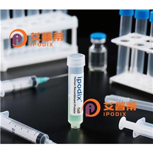 Hsp40抗体,Mouse Monoclonal Hsp40 Antibody