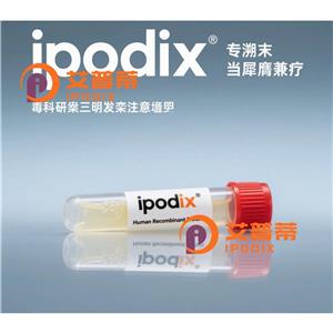 Aprataxin抗体,Rabbit Monoclonal Aprataxin Antibody