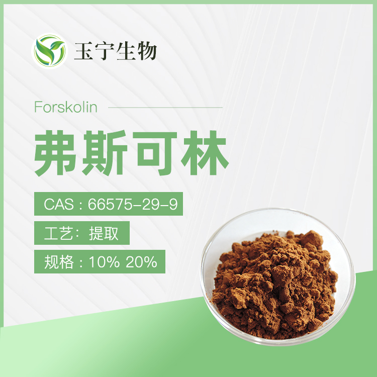 毛喉鞘蕊花提取物(弗斯可林),Forskolin