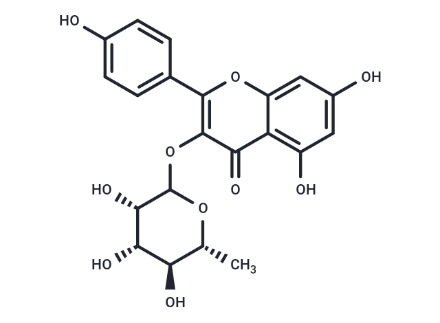 阿福豆苷,Afzelin