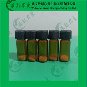 β-半乳糖苷酶,β-Galactosidase