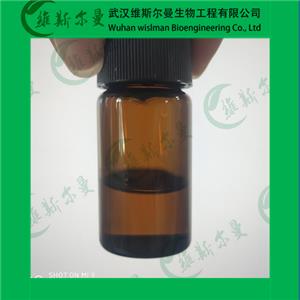 β-半乳糖苷酶,β-Galactosidase