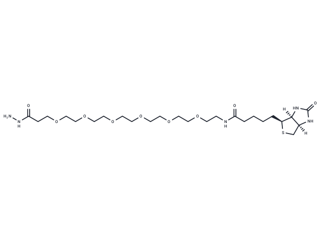 化合物 (+)-Biotin-PEG6-hydrazide,(+)-Biotin-PEG6-hydrazide