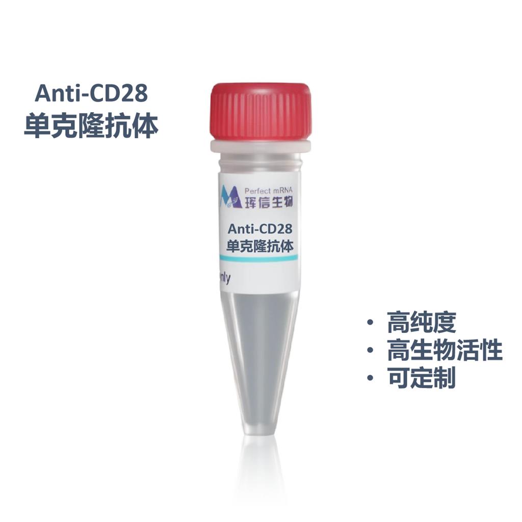 Anti-CD28 monoclonal antibody蛋白,Anti-CD28 monoclonal antibody