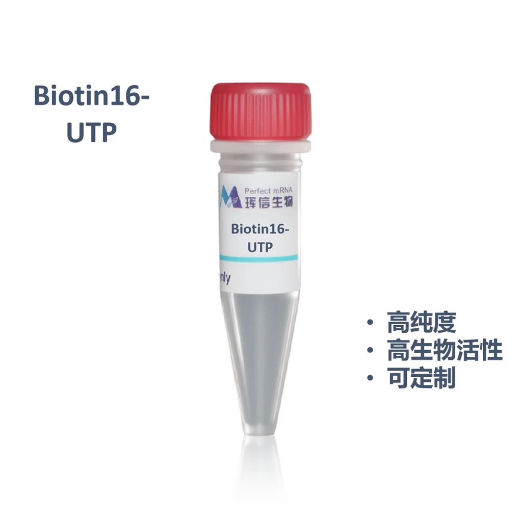 Biotin16-UTP，Biotin标记UTP,Biotin16-UTP