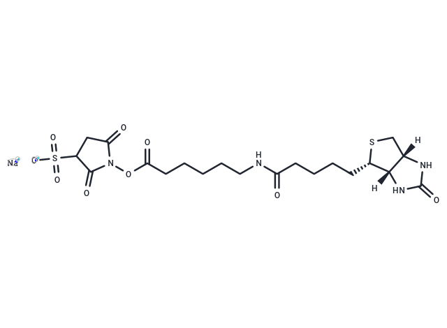 化合物 Sulfo-NHS-LC-Biotin鈉鹽,Sulfo-NHS-LC-Biotin sodium