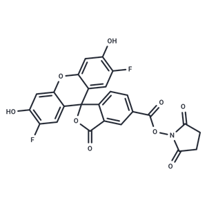 OG 488, SE|T39402|TargetMol