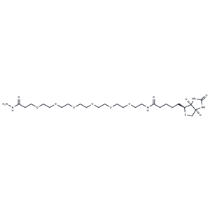 化合物 (+)-Biotin-PEG6-hydrazide,(+)-Biotin-PEG6-hydrazide