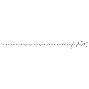 化合物 Amino-PEG8-hydrazide-Boc|T14252|TargetMol