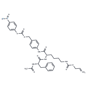 化合物 (Ac)Phe-Lys(Alloc)-PABC-PNP|T18875|TargetMol