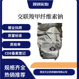 醫(yī)用交聯(lián)羧甲纖維素鈉 藥用交聯(lián)羧甲纖維素鈉作用