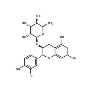 化合物 Catechin 3-rhamnoside,Catechin 3-rhamnoside