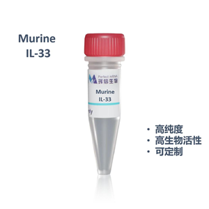Murine  IL-33蛋白