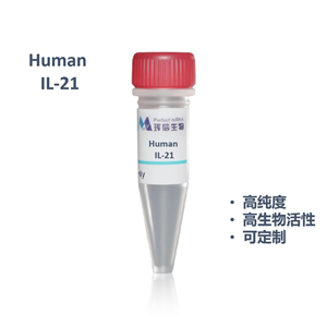 Human IL-21蛋白