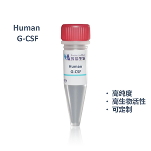 Human G-CSF蛋白