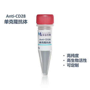 Anti-CD28 monoclonal antibody蛋白,Anti-CD28 monoclonal antibody