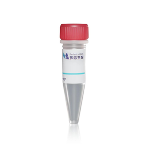 cys-PROTEIN G蛋白,cys-PROTEIN G