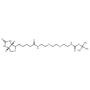 化合物 Biotin-PEG2-NH-Boc,Biotin-PEG2-NH-Boc