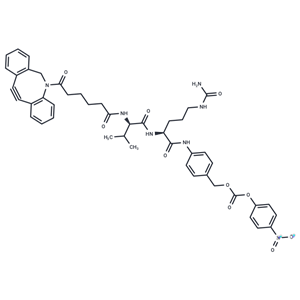 化合物 DBCO-Val-Cit-PABC-PNP|T17816|TargetMol