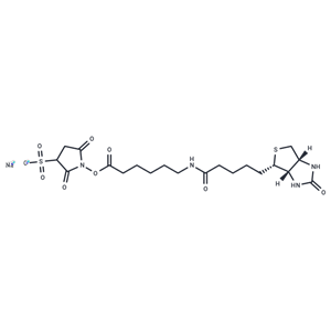 化合物 Sulfo-NHS-LC-Biotin鈉鹽,Sulfo-NHS-LC-Biotin sodium