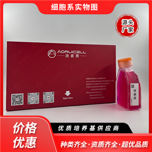 Hi-fiveBTI-TN-5B1-4（昆虫细胞）