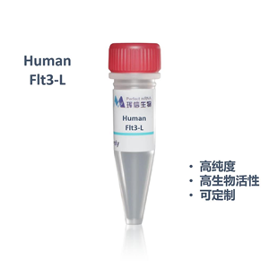 Human Flt3-L蛋白
