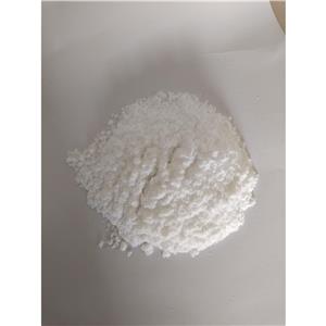 美托咪定,Medetomidine