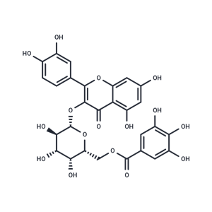 槲皮素3-O-(6''-沒食子?；?-Β-D-半乳糖苷|TN2123|TargetMol