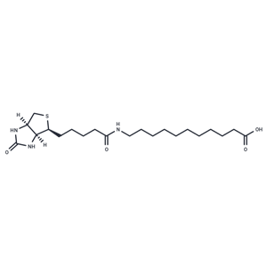 化合物 (+)-Biotin-SLC,(+)-Biotin-SLC