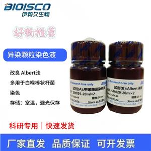 異染顆粒染色液(改良Albert法)