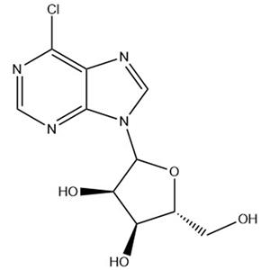 6-Chloropurine ribonucleoside;2004-06-0