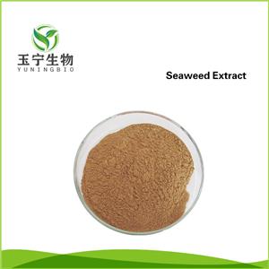 海藻提取物,Seaweed Extract