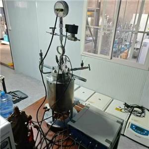 二手磁力攪拌反應(yīng)釜,Magnetic stirring reactor