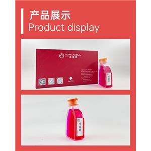 293A（人胚肾细胞）,293A