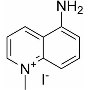 5-氨基-1-甲基喹啉氯化物 42464-96-0