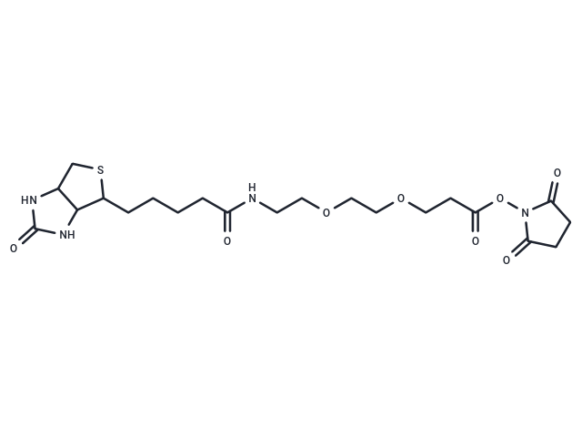 生物素-PEG2-NHS酯,Biotin-PEG2-NHS ester