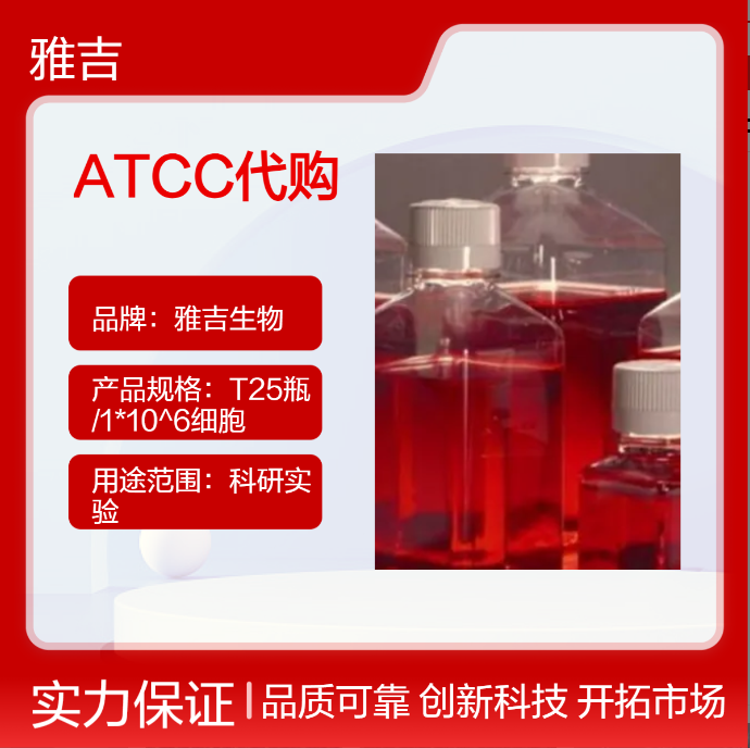 小鼠白血病細(xì)胞L6565,L6565