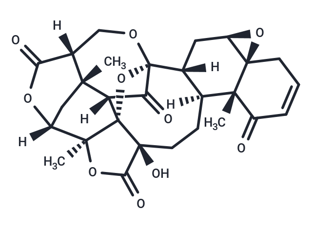 酸浆苦味素F,physalin F