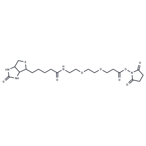 生物素-PEG2-NHS酯,Biotin-PEG2-NHS ester