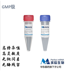 T7 RNA Polymerase