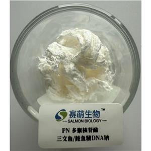 医用级 PN 多聚核苷酸 三文鱼/鲑鱼精DNA钠,Polynucleotide