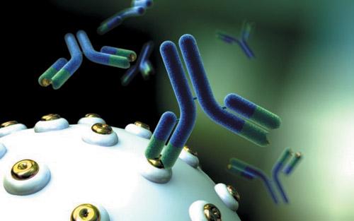 重组凝血因子XIIIa,Recombinant human Factor XIIIa