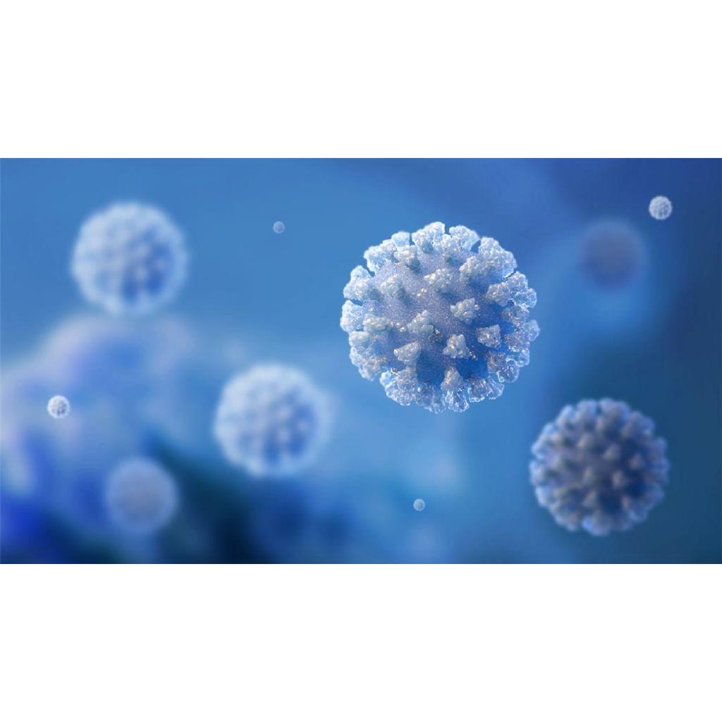 TSHR抗体促甲状腺激素受体抗体,TSHR antibody