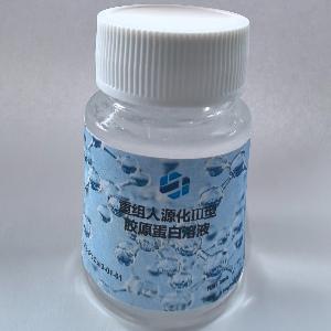 重组人源化胶原蛋白III溶液,Recombinant Humanized Type III Collagen