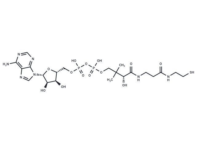 脱磷辅酶 A,Dephospho-CoA