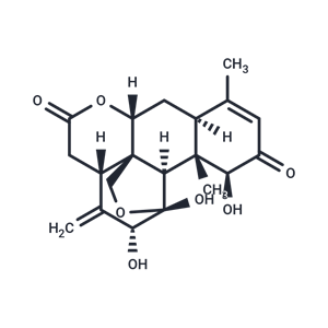 臭椿酮,Ailanthone