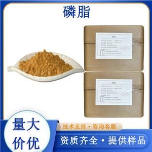 大豆磷脂,PHOSPHOLIPIDS