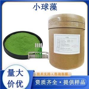 蛋白核小球藻粉