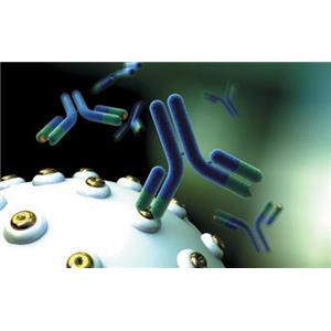 重组凝血因子XIIIa,Recombinant human Factor XIIIa